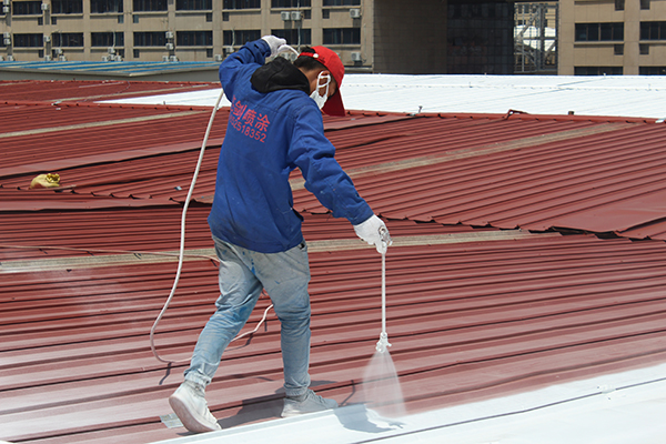 彩鋼瓦屋面翻新專業團隊 彩鋼瓦屋面翻新專業團隊