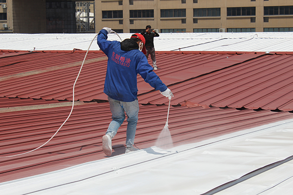 彩鋼瓦涂裝翻新專業隊伍 彩鋼瓦涂裝翻新專業隊伍