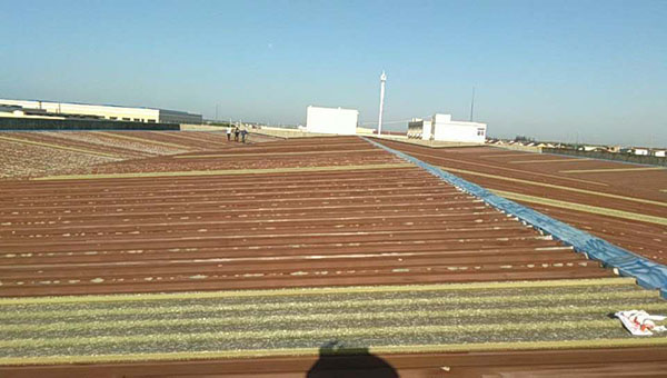 彩鋼瓦翻新噴漆大概多少錢一平方? 彩鋼瓦翻新噴漆大概多少錢一平方?